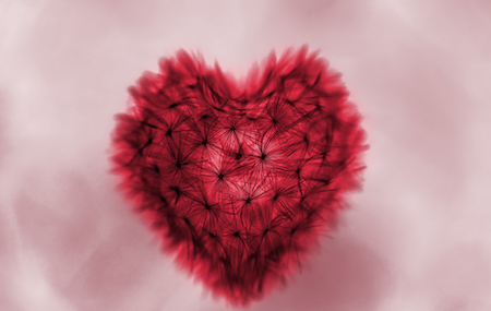 Fuzzy Heart